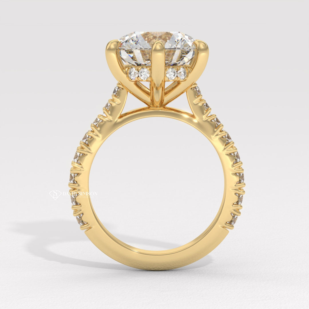 2.0CT-4.0CT Round Moissanite Cathedral Pave Diamond Engagement Ring