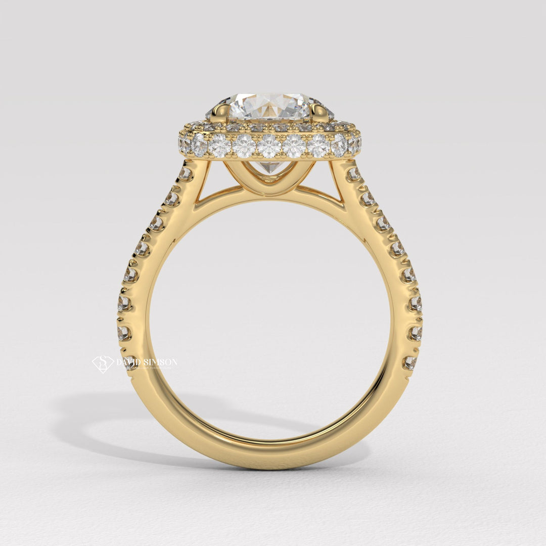 1.0CT-2.0CT Round Cut Moissanite Diamond Double Halo Engagement Ring