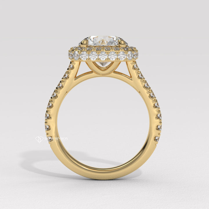 1.0CT-2.0CT Round Cut Moissanite Diamond Double Halo Engagement Ring