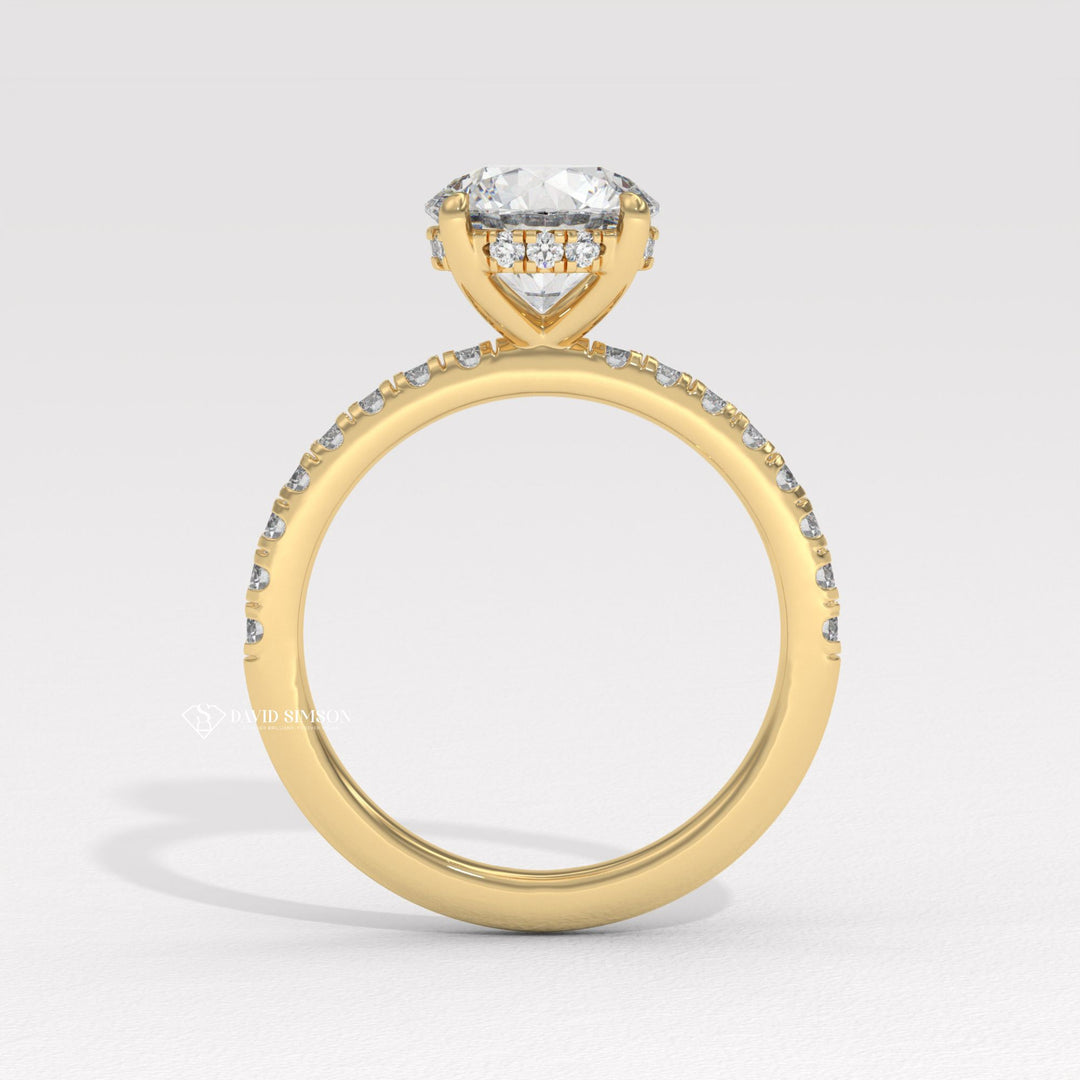 1.0CT-3.0CT Round Moissanite Diamond Hidden Halo Engagement Ring