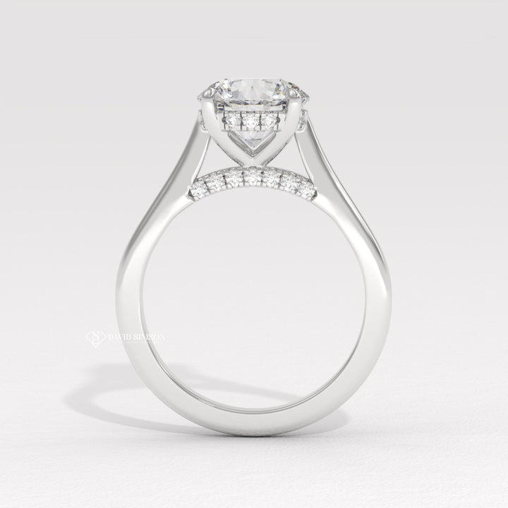 2.0CT-3.0CT Round Moissanite Diamond Hidden Halo Bridge Set Engagement Ring