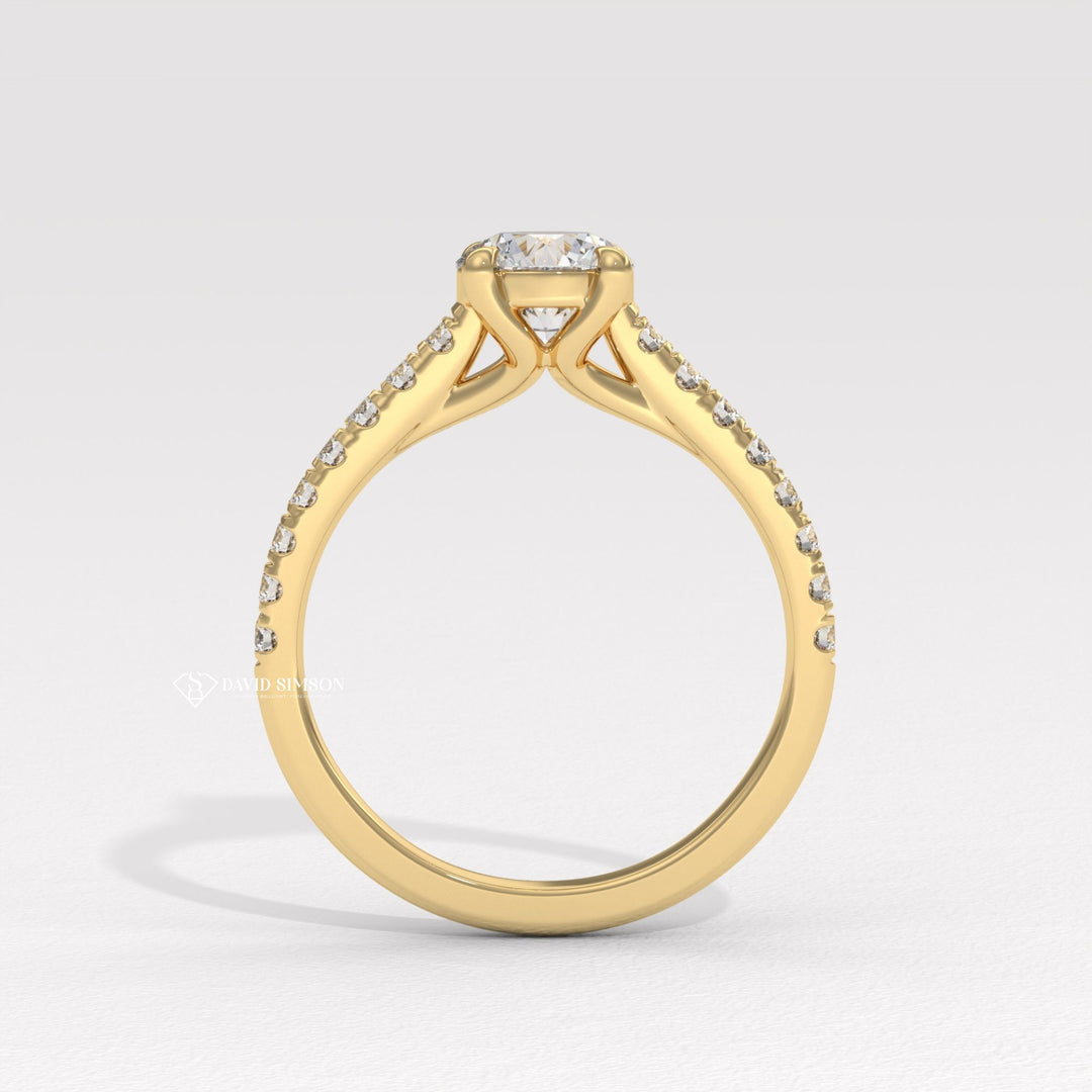 1.0CT-2.0CT Round Moissanite Diamond Pave Engagement Ring