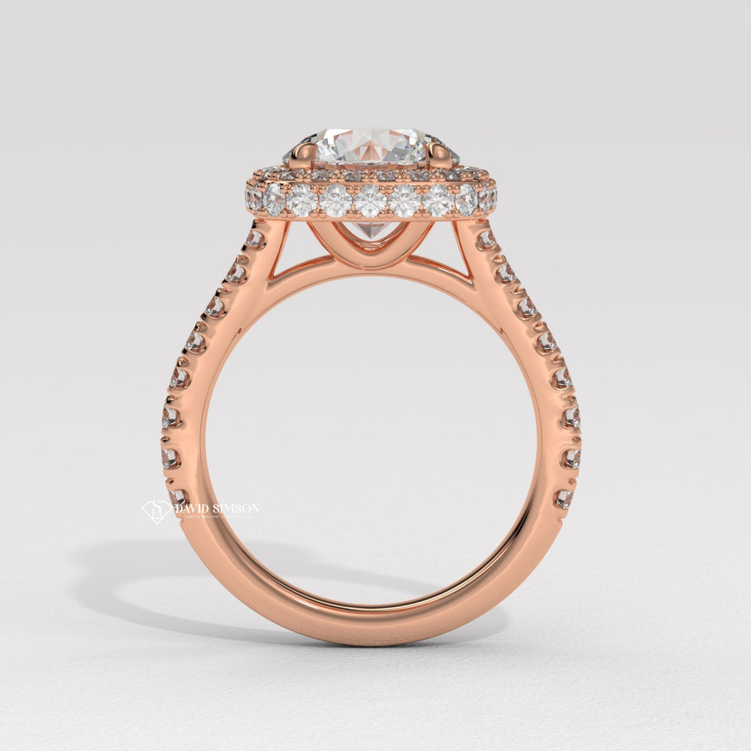 1.0CT-2.0CT Round Cut Moissanite Diamond Double Halo Engagement Ring