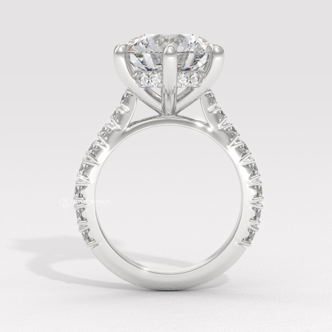 2.0CT-4.0CT Round Moissanite Cathedral Pave Diamond Engagement Ring