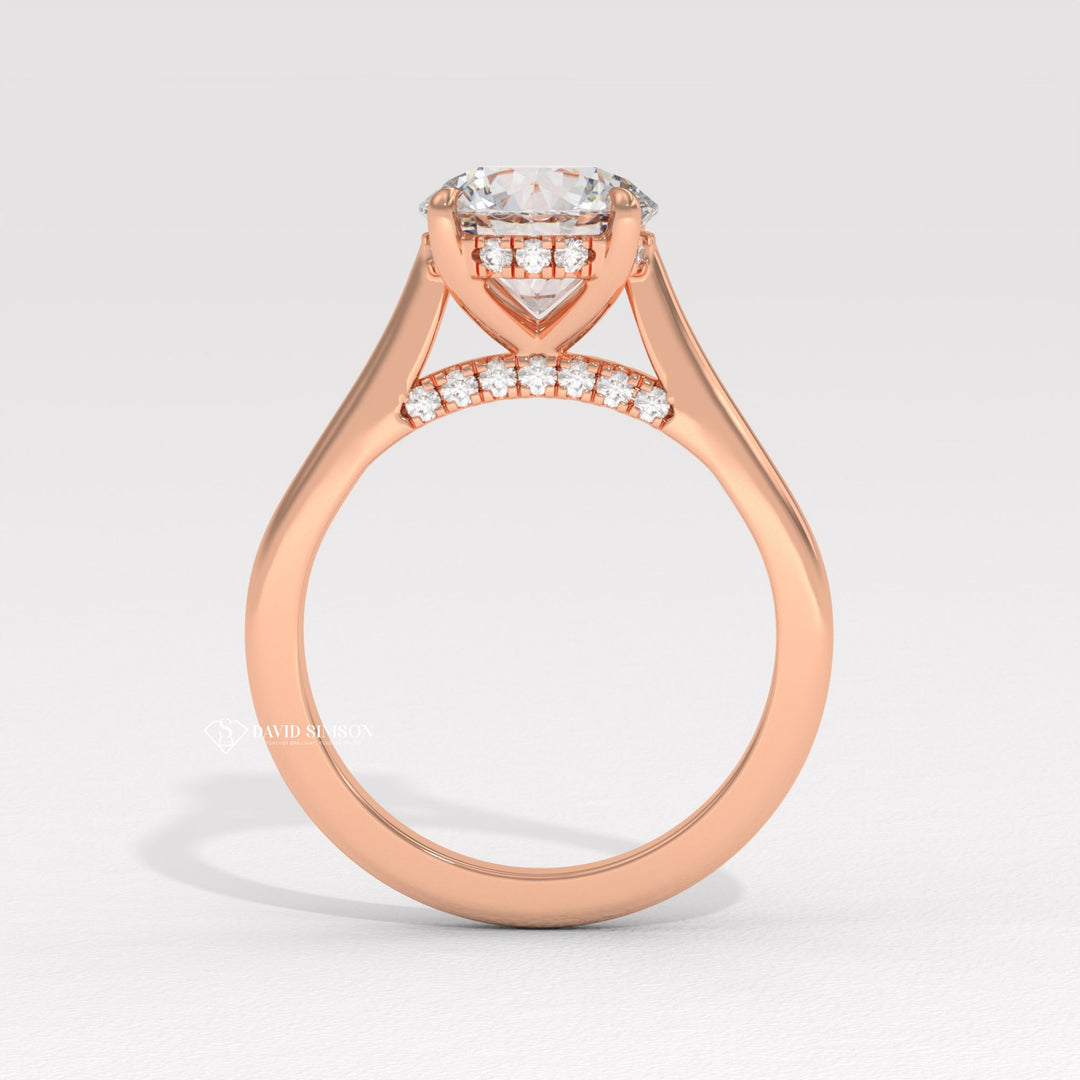 2.0CT-3.0CT Round Moissanite Diamond Hidden Halo Bridge Set Engagement Ring