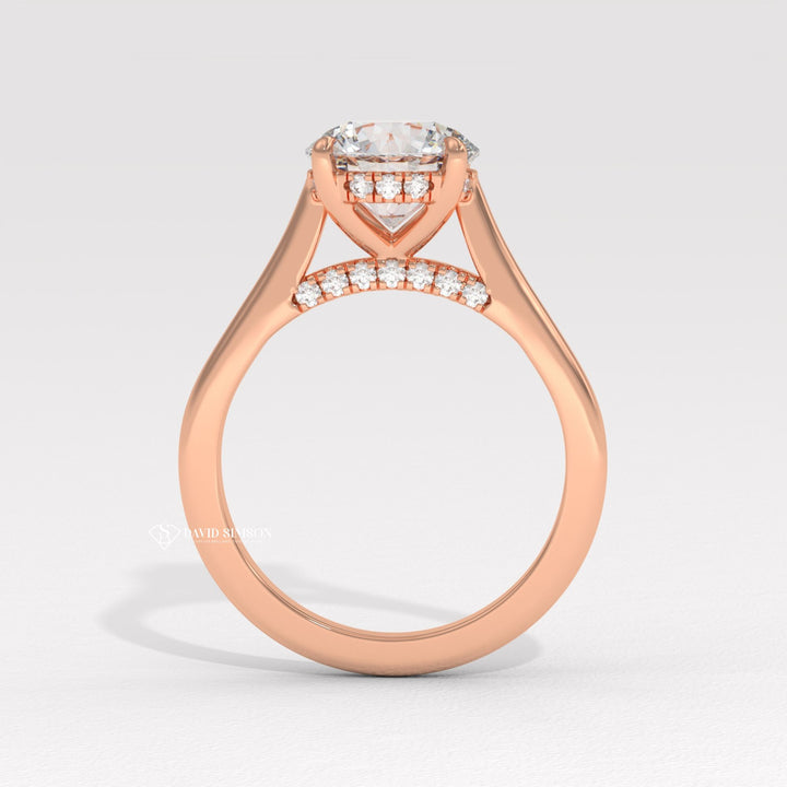 2.0CT-3.0CT Round Moissanite Diamond Hidden Halo Bridge Set Engagement Ring