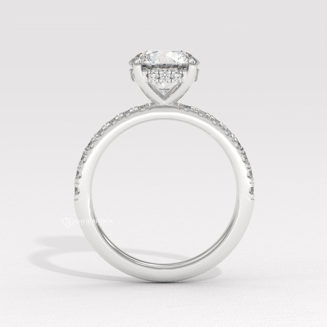 1.0CT-3.0CT Round Moissanite Diamond Hidden Halo Engagement Ring