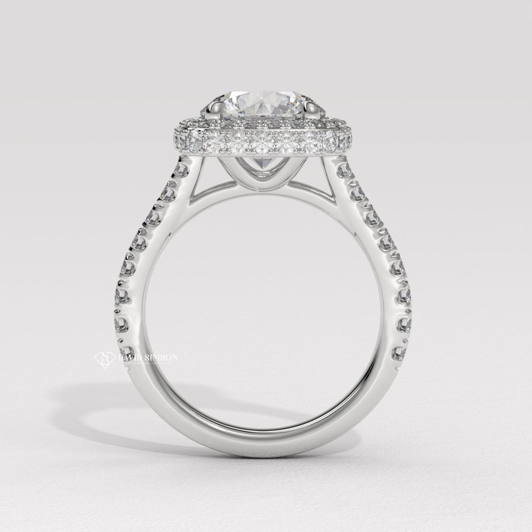 1.0CT-2.0CT Round Cut Moissanite Diamond Double Halo Engagement Ring