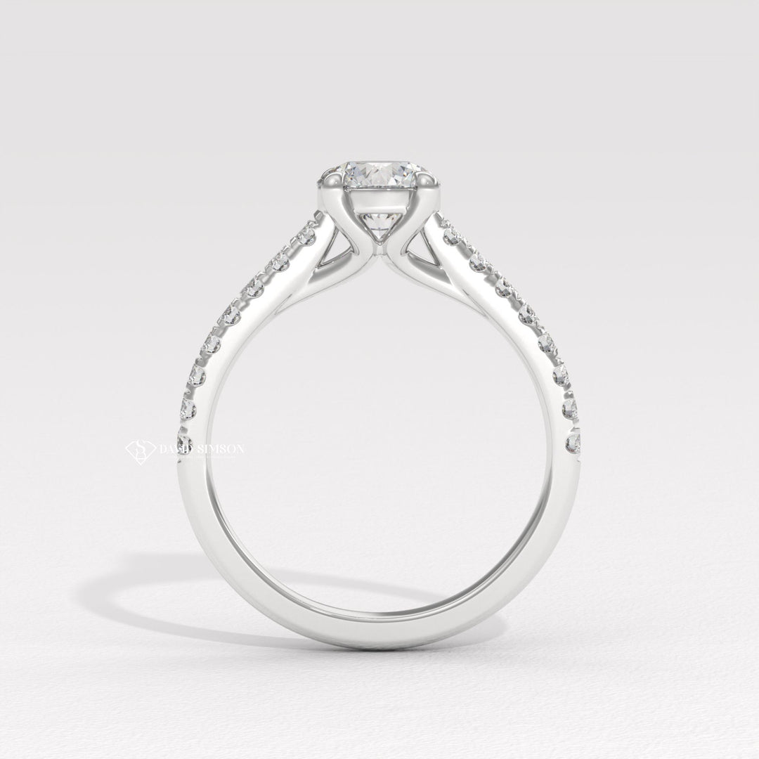 1.0CT-2.0CT Round Moissanite Diamond Pave Engagement Ring