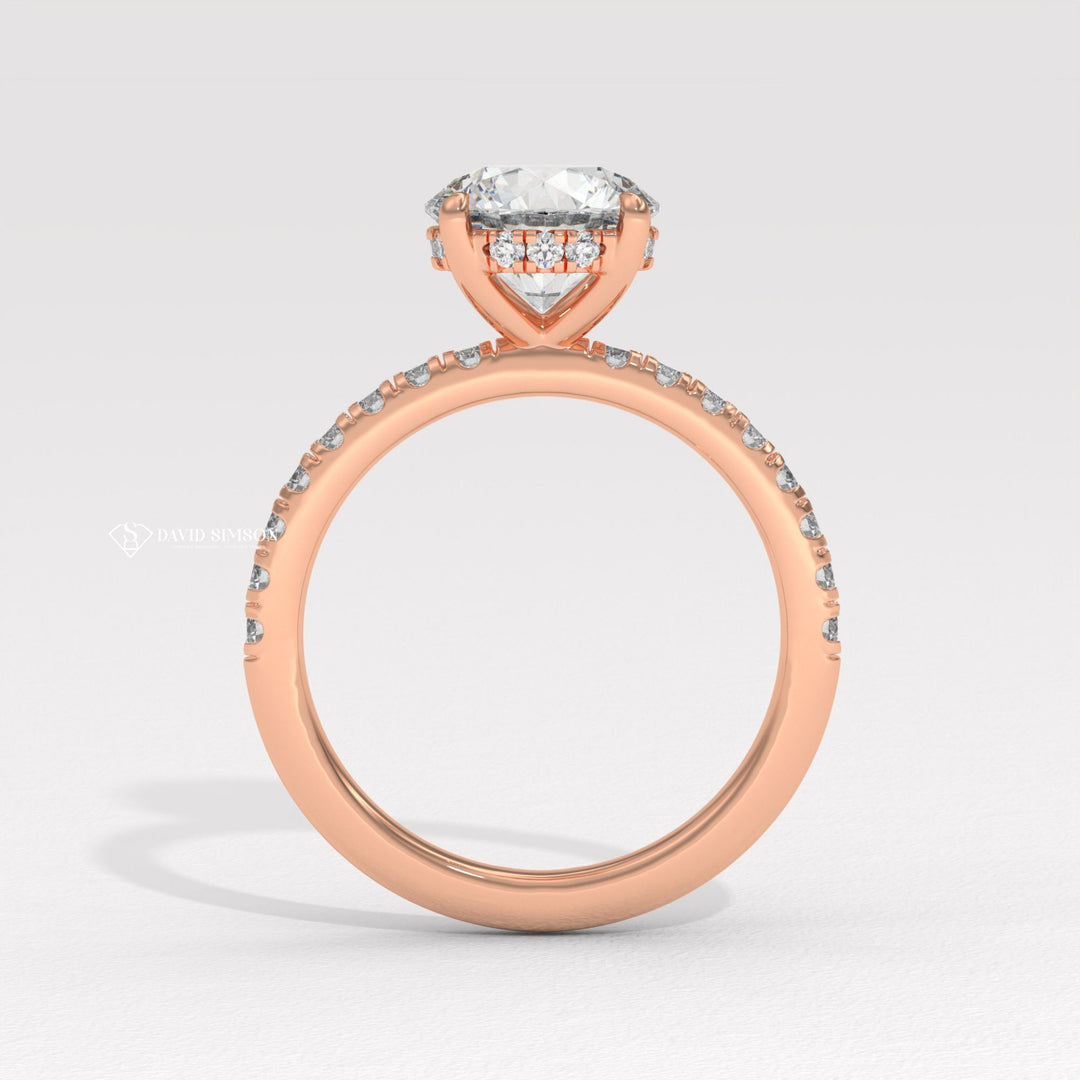 1.0CT-3.0CT Round Moissanite Diamond Hidden Halo Engagement Ring
