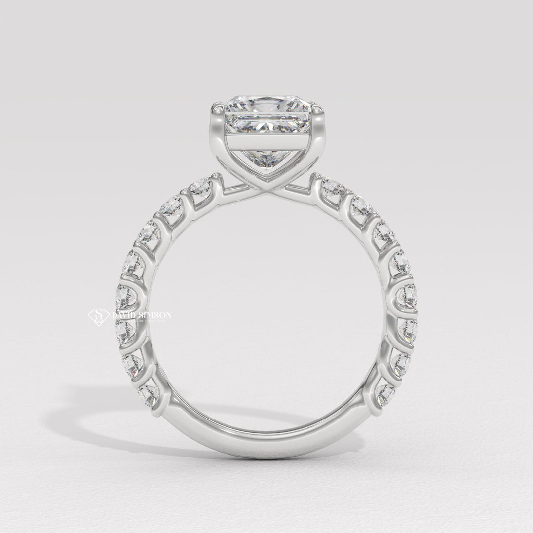 2.50CT-3.50CT Princess Moissanite Diamond Pave Engagement Ring