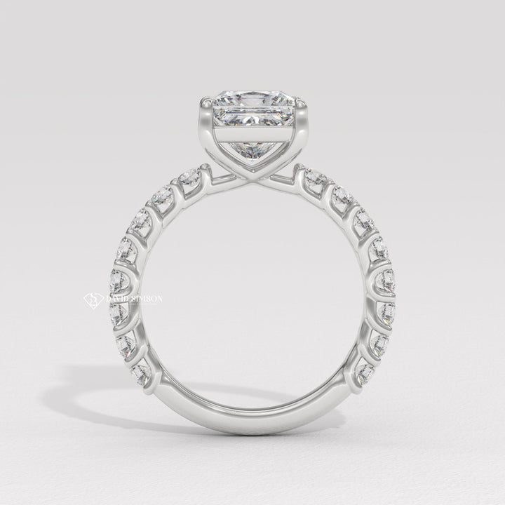 2.50CT-3.50CT Princess Moissanite Diamond Pave Engagement Ring