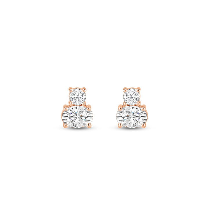 Round & Oval Cut Two Stone Moissanite Diamond Earrings for Women