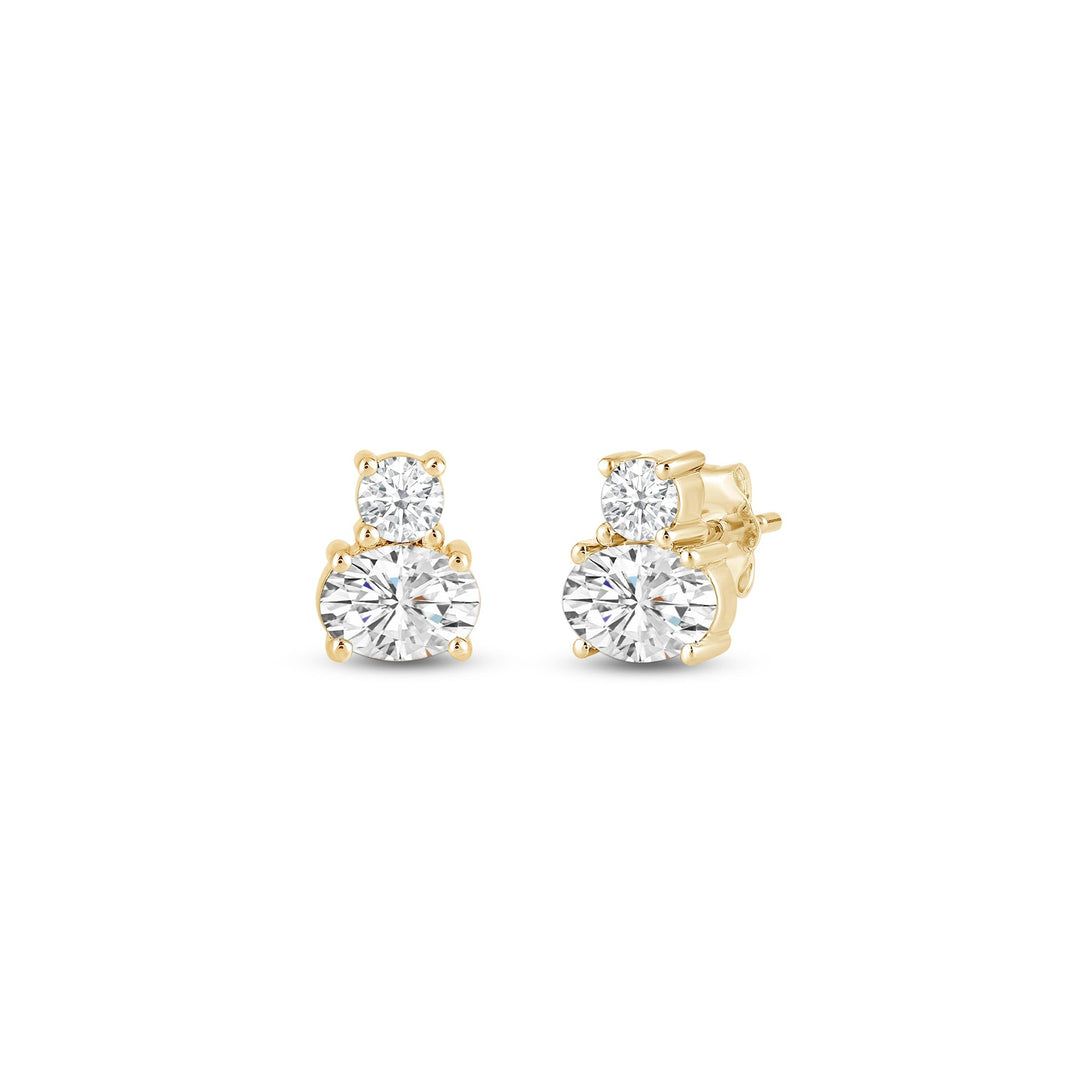 Round & Oval Cut Two Stone Moissanite Diamond Earrings for Women