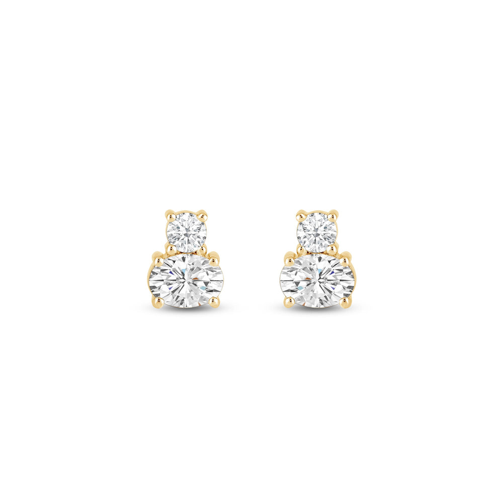 Round & Oval Cut Two Stone Moissanite Diamond Earrings for Women