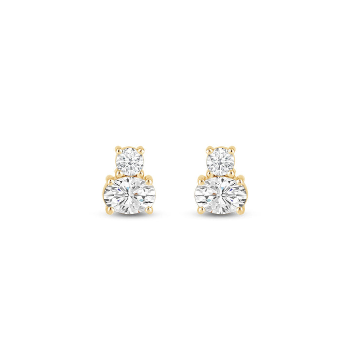 Round & Oval Cut Two Stone Moissanite Diamond Earrings for Women