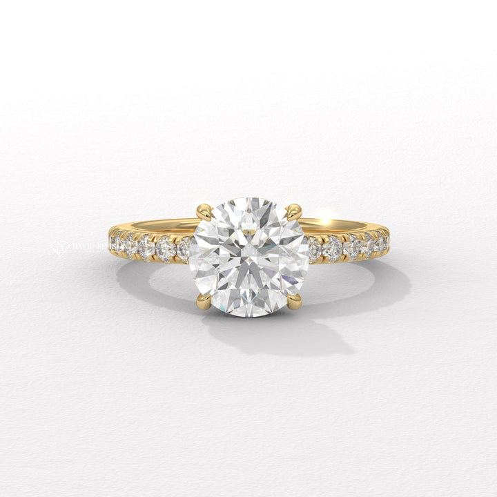 1.0CT-3.0CT Round Moissanite Diamond Hidden Halo Engagement Ring