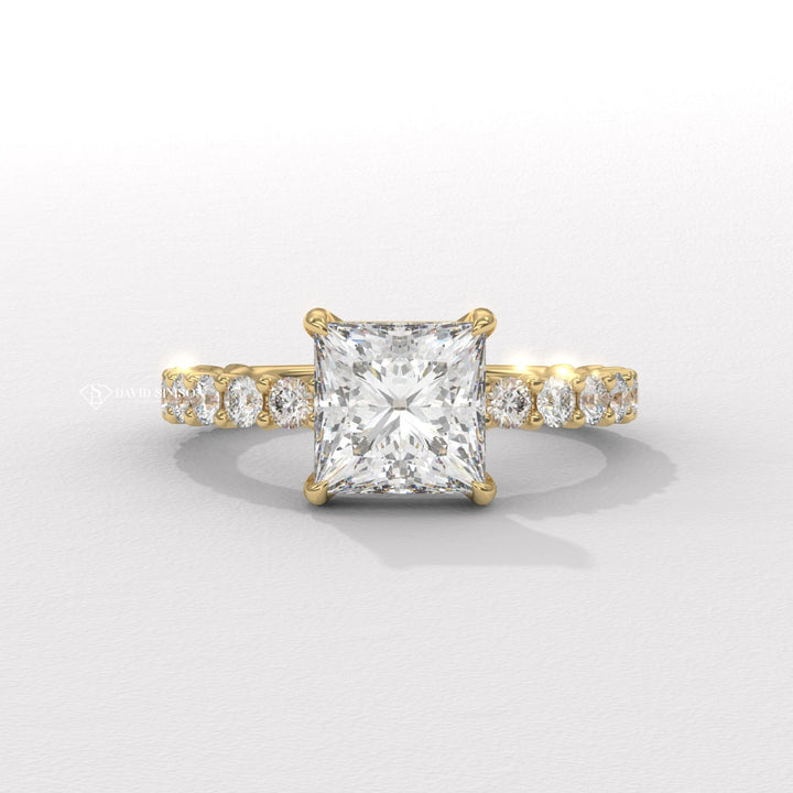 2.50CT-3.50CT Princess Moissanite Diamond Pave Engagement Ring