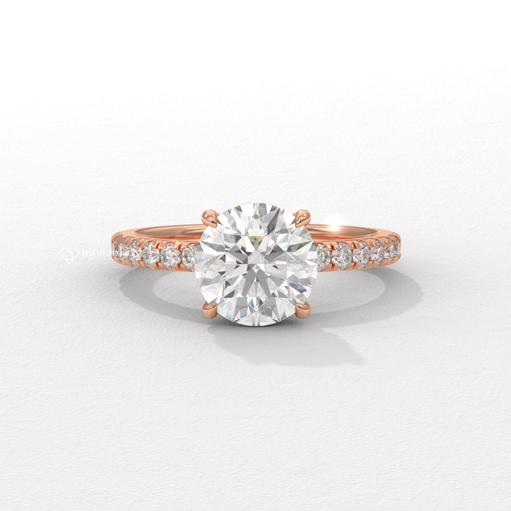 1.0CT-3.0CT Round Moissanite Diamond Hidden Halo Engagement Ring