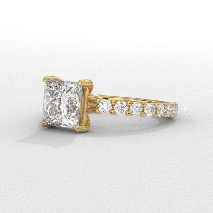 2.50CT-3.50CT Princess Moissanite Diamond Pave Engagement Ring