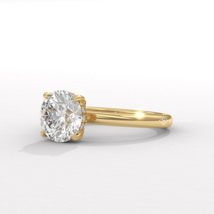 2.50CT-3.50CT Round Moissanite Solitaire Diomond Hidden Halo Engagement Ring