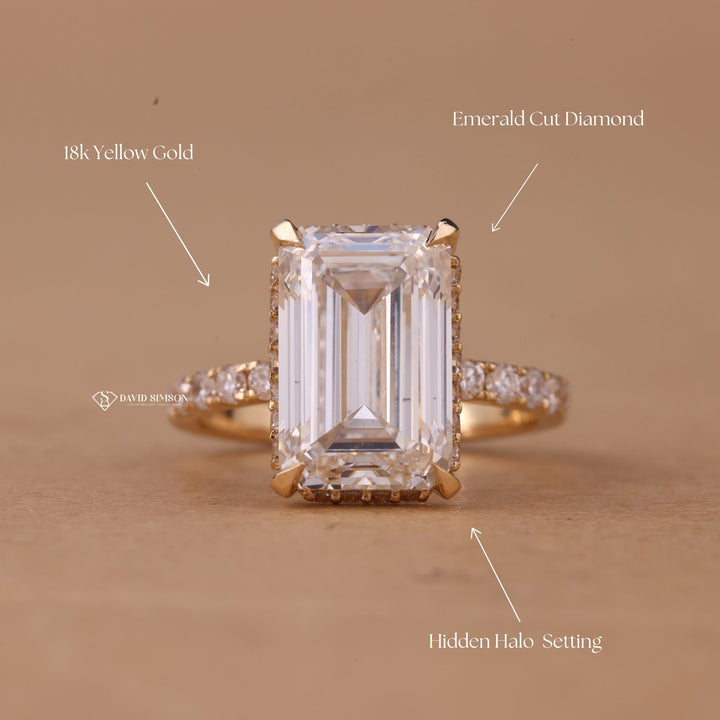 Moissanite Pave Ring
Large Emerald Cut Ring
5 Carat Moissanite Ring
Emerald Cut Diamond Alt
14K Gold Hidden Halo

