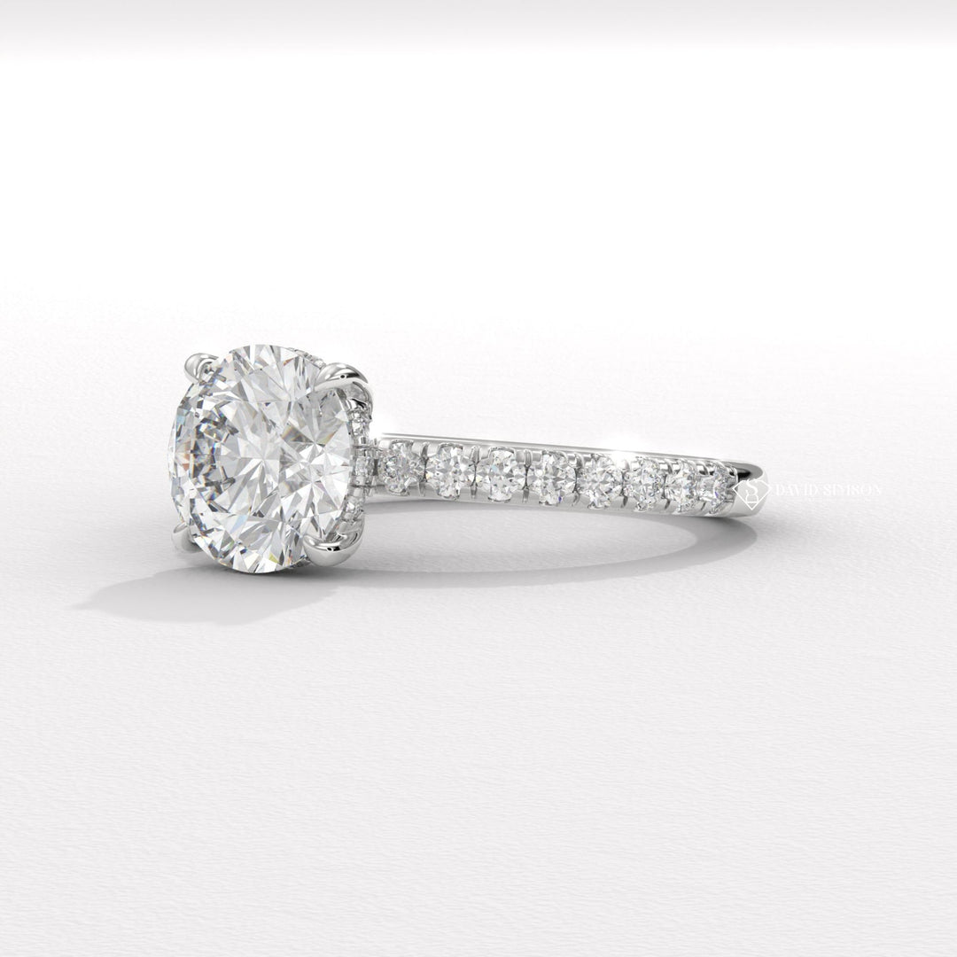 1.0CT-3.0CT Round Moissanite Diamond Hidden Halo Engagement Ring