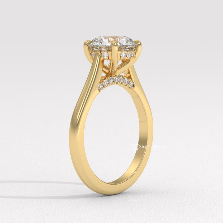 2.0CT-3.0CT Round Moissanite Diamond Hidden Halo Bridge Set Engagement Ring