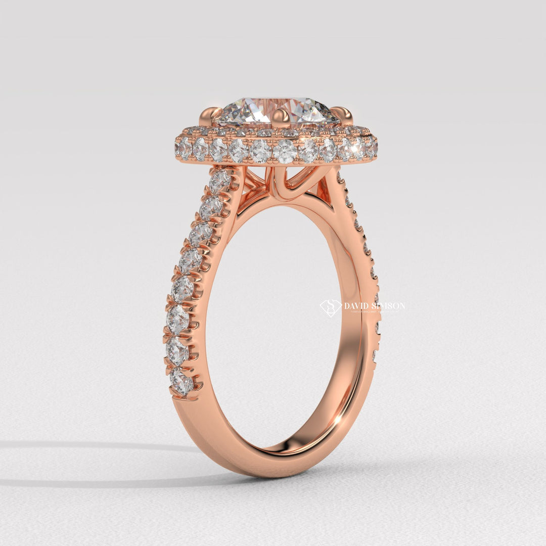 1.0CT-2.0CT Round Cut Moissanite Diamond Double Halo Engagement Ring