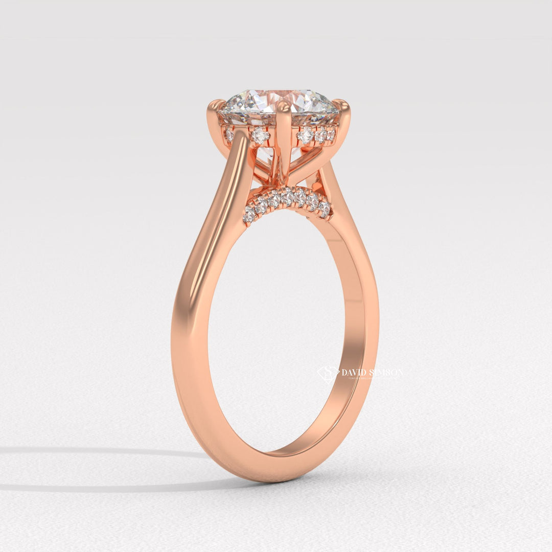 2.0CT-3.0CT Round Moissanite Diamond Hidden Halo Bridge Set Engagement Ring