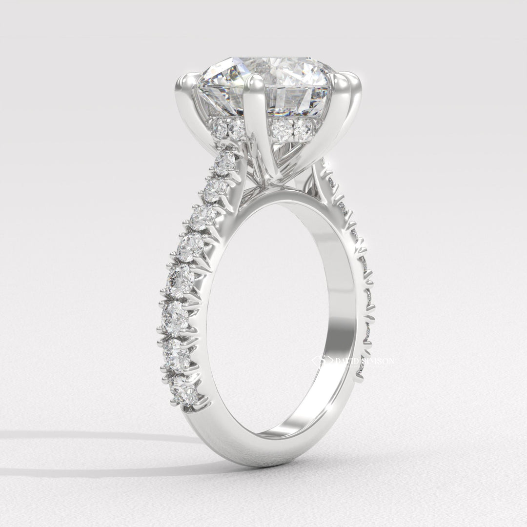 2.0CT-4.0CT Round Moissanite Cathedral Pave Diamond Engagement Ring