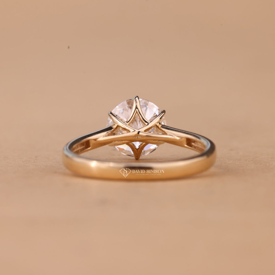 Rose Gold Moissanite Ring
Elegant Solitaire Ring
Classic Cathedral Setting
Round Moissanite Jewelry
