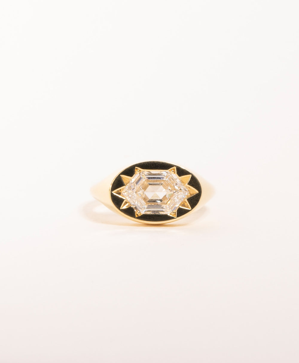 Diamond Signet EngagementHexagonal Mixed Cut1 Carat Signet Ring2 Carat Diamond SignetGender Neutral EngagementUnique Signet JewelryGeometric Diamond RingFlush Set Diamond RingModern Signet Style