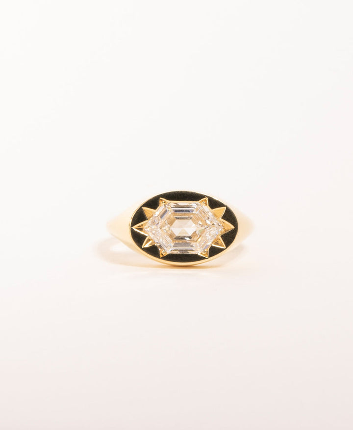 Diamond Signet EngagementHexagonal Mixed Cut1 Carat Signet Ring2 Carat Diamond SignetGender Neutral EngagementUnique Signet JewelryGeometric Diamond RingFlush Set Diamond RingModern Signet Style