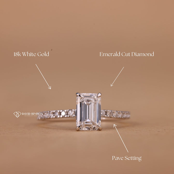 VVS1 Emerald Cut Moissanite
Lab Grown Emerald Ring
Step Cut Moissanite Ring
Eco-Friendly Engagement Ring
White Gold Emerald Moissanite
