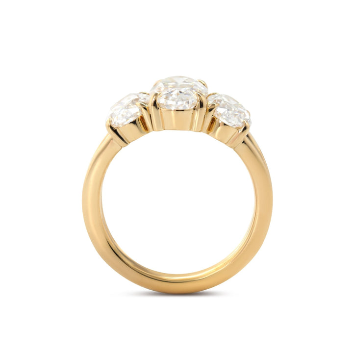 Romantic Proposal Ring
Oval Cut Trilogy
Chunky Oval Cut
Moissanite Anniversary
Unique Bridal Ring
2.5 Carat Moissanite
Handcrafted Jewelry
Affordable Luxury Ring
