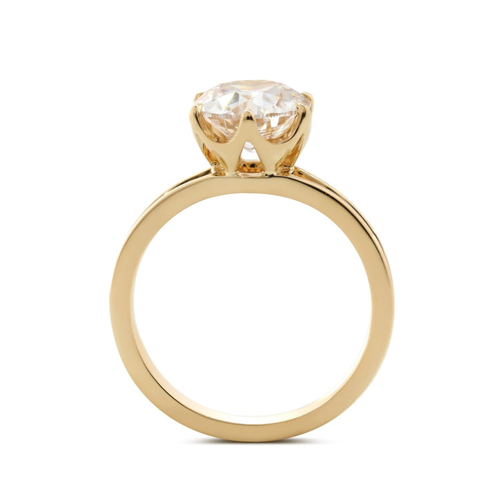 Round Brilliant Alternative
Gold Tulip Ring
Platinum OEC Diamond
European Cut Solitaire
Large Old European Diamond
Botanical Engagement Ring
Hand Cut Diamond Ring

