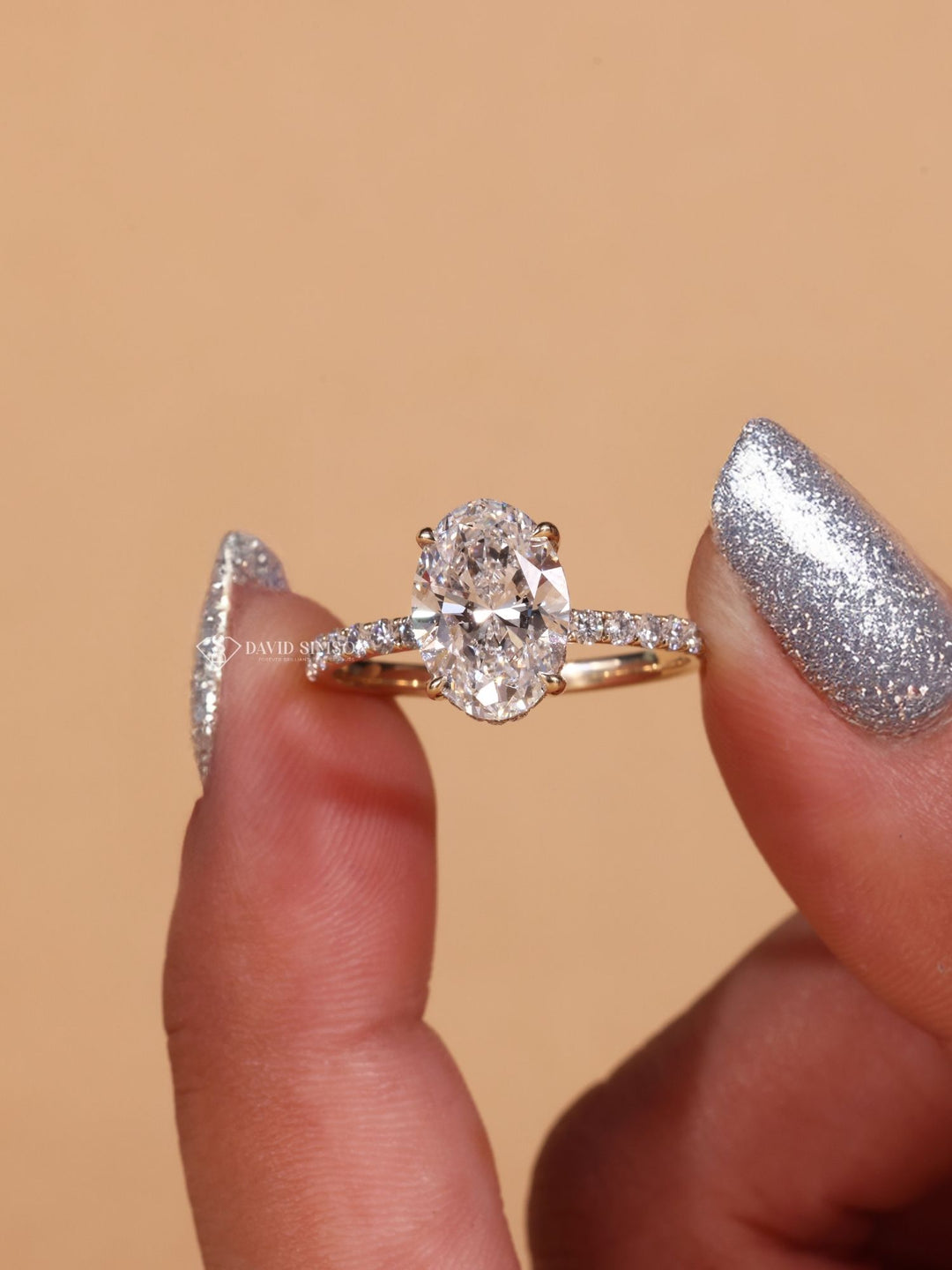 Round Cut Diamond Moissanite Halo Engagement Ring for Women