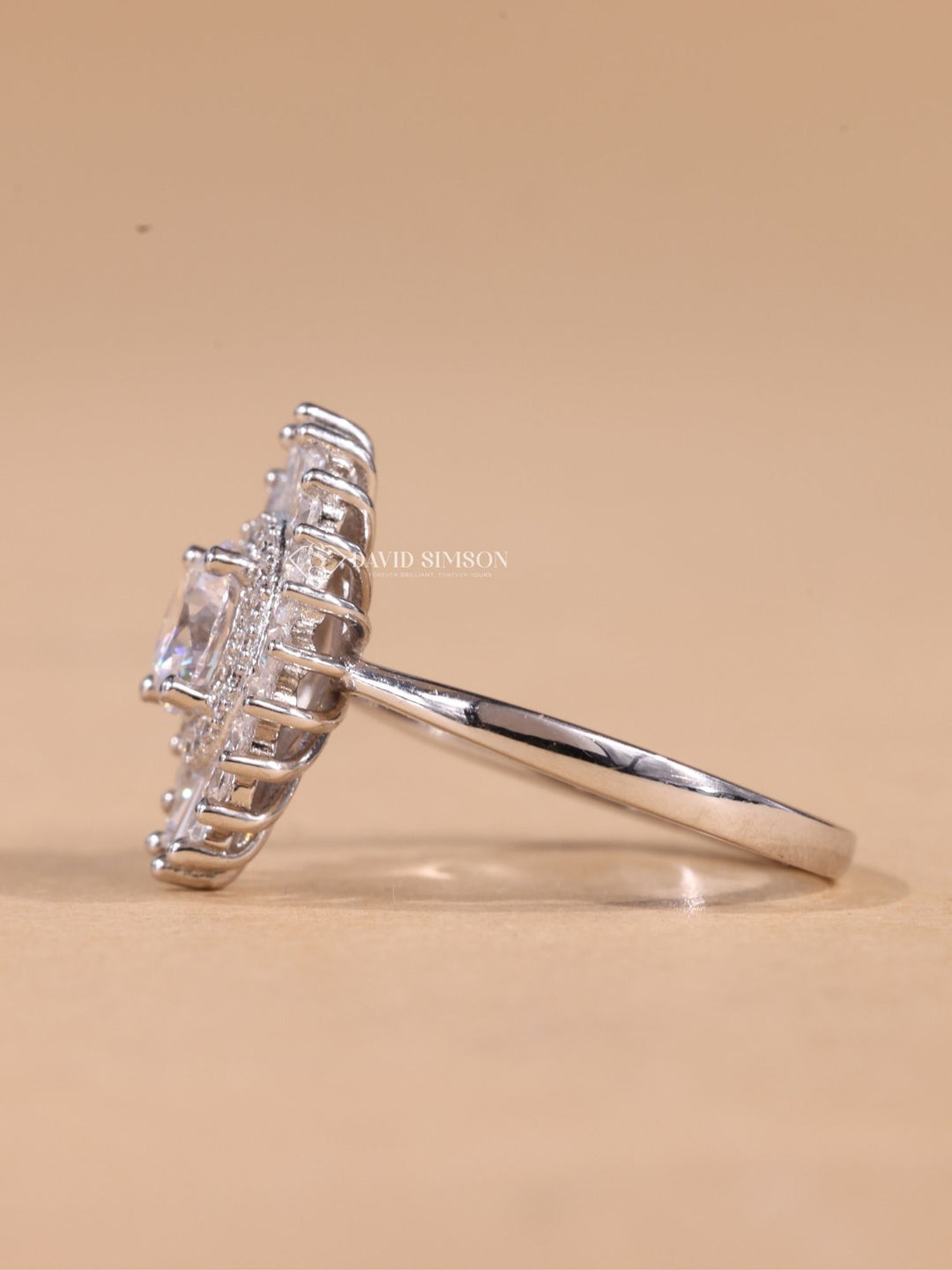 0.50CT-1.50CT Round Cut Moissanite Diamond Halo Cluster Engagement Ring