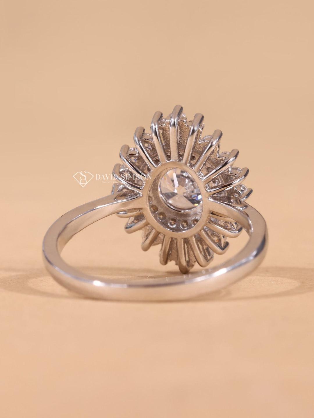 0.50CT-1.50CT Round Cut Moissanite Diamond Halo Cluster Engagement Ring