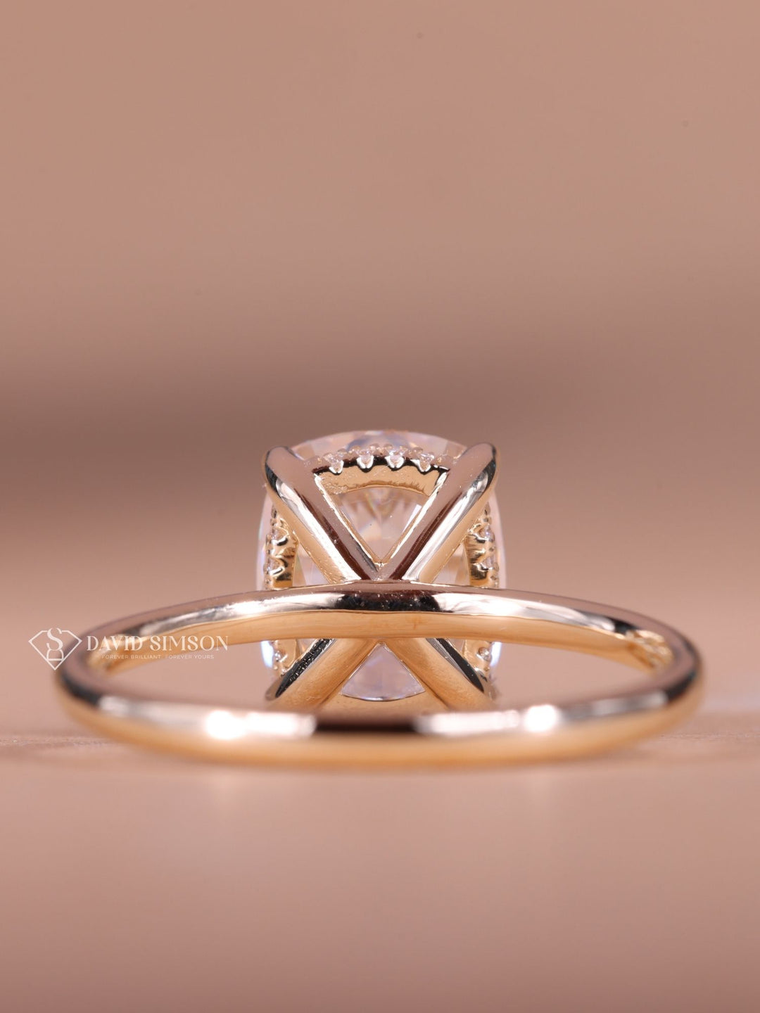 2.0CT-4.0CT Cushion Cut Moissanite Diamond Hidden Halo Engagement Ring