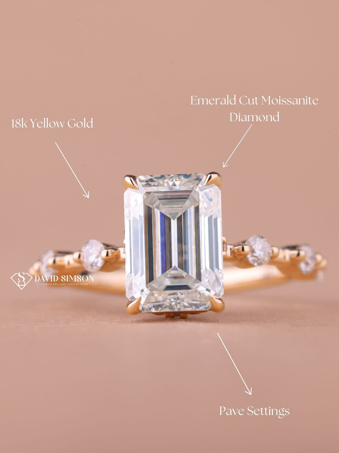 3.0CT-5.0CT Emerald Cut Moissanite Diamond Distance Pave Engagement Ring