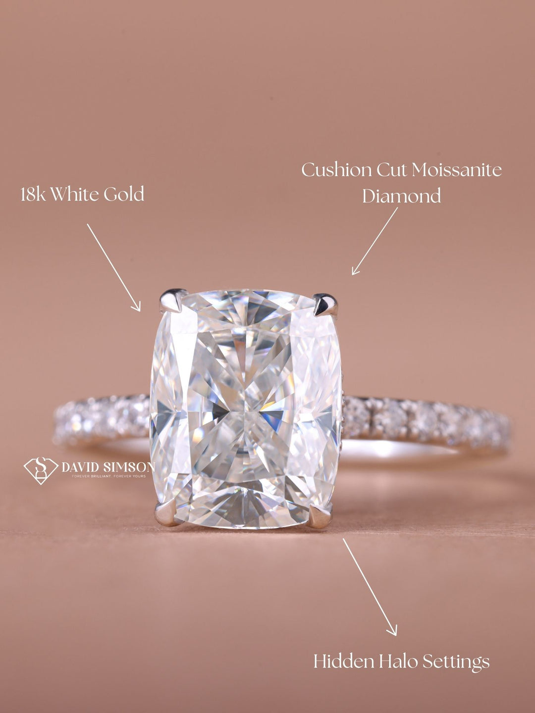 3.0CT-4.0CT Cushion Cut Moissanite Diamond Hidden Halo Engagement Ring