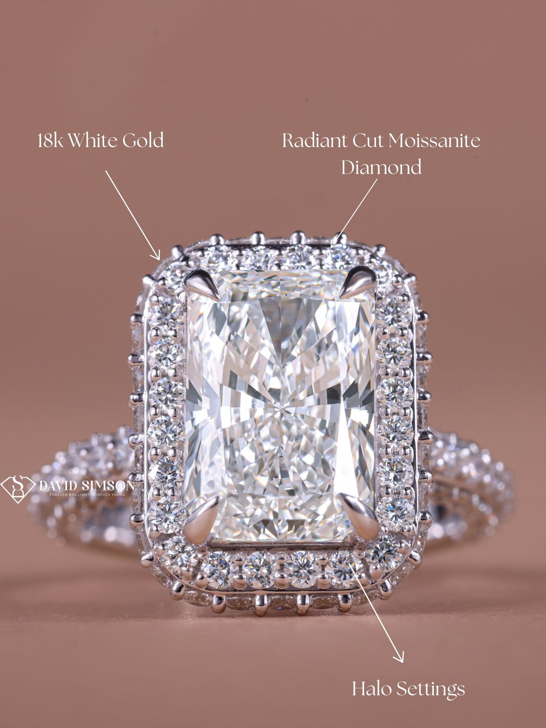 3.0CT-4.0CT Radiant Cut Moissanite Double Halo Diamond Engagement Ring