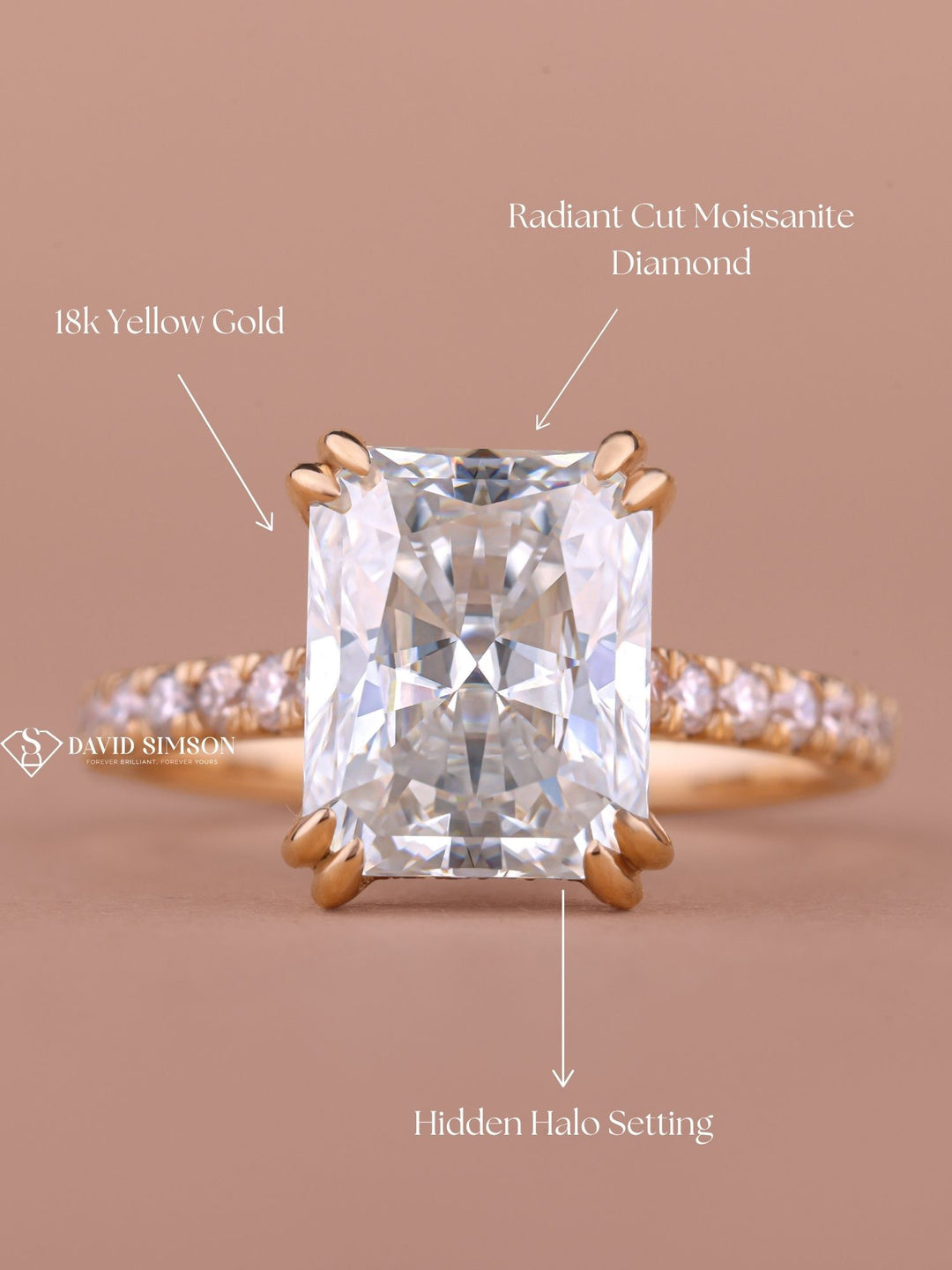 2.0CT-3.0CT Radiant Cut Moissanite Hidden Halo Diamond Engagement Ring