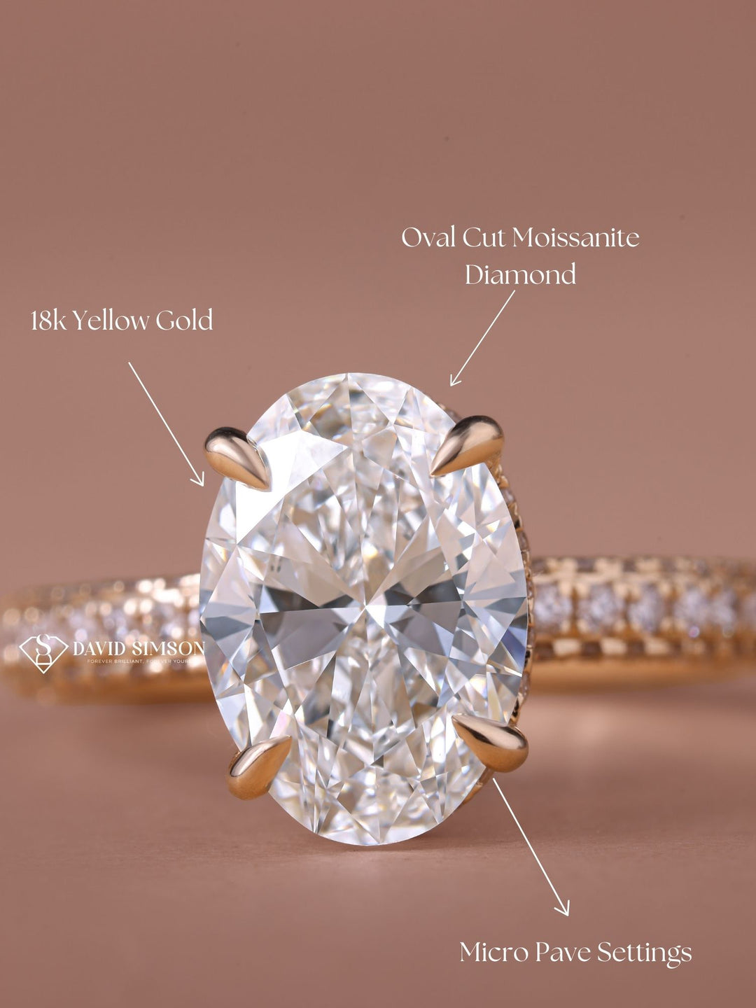 3.0CT-4.0CT Oval Cut Moissanite Diamond Hidden Halo & Pave Engagement Ring