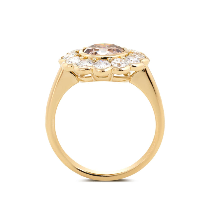 2.5ct Diamond Ring
Fancy Color Diamond
Romantic Bridal Jewelry
Cluster Halo Ring
Custom Diamond Ring
