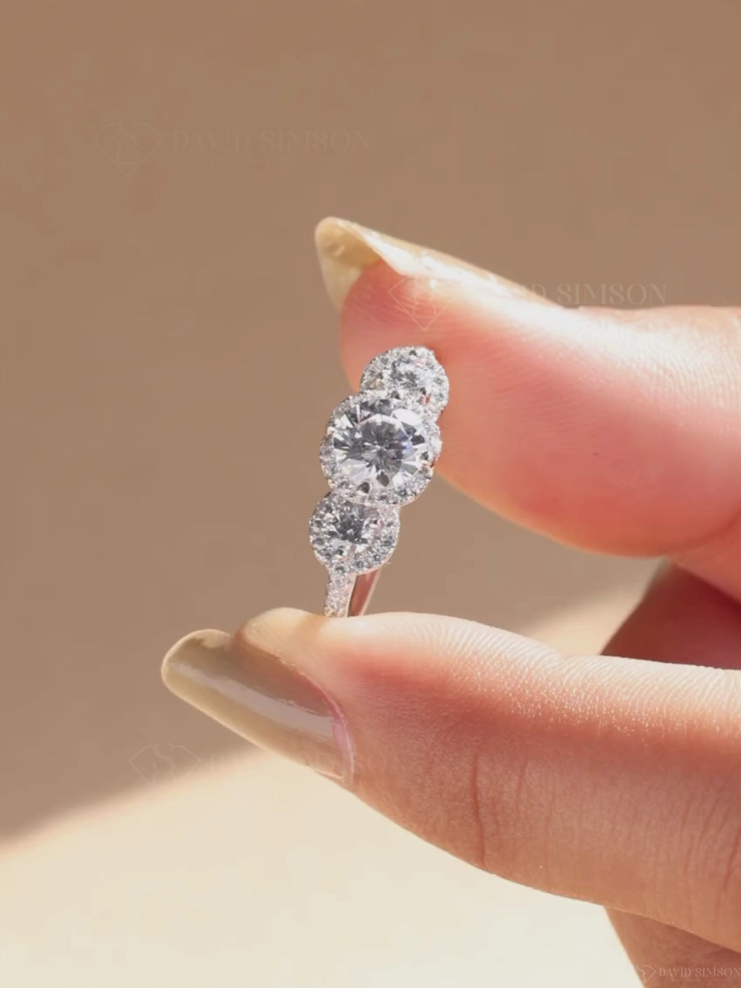 1.0CT-2.0CT Round Cut Moissanite Halo Diamond Three Stone Engagement Ring